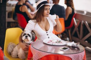 young-lady-bar-with-cute-dog-having-lunch (1)